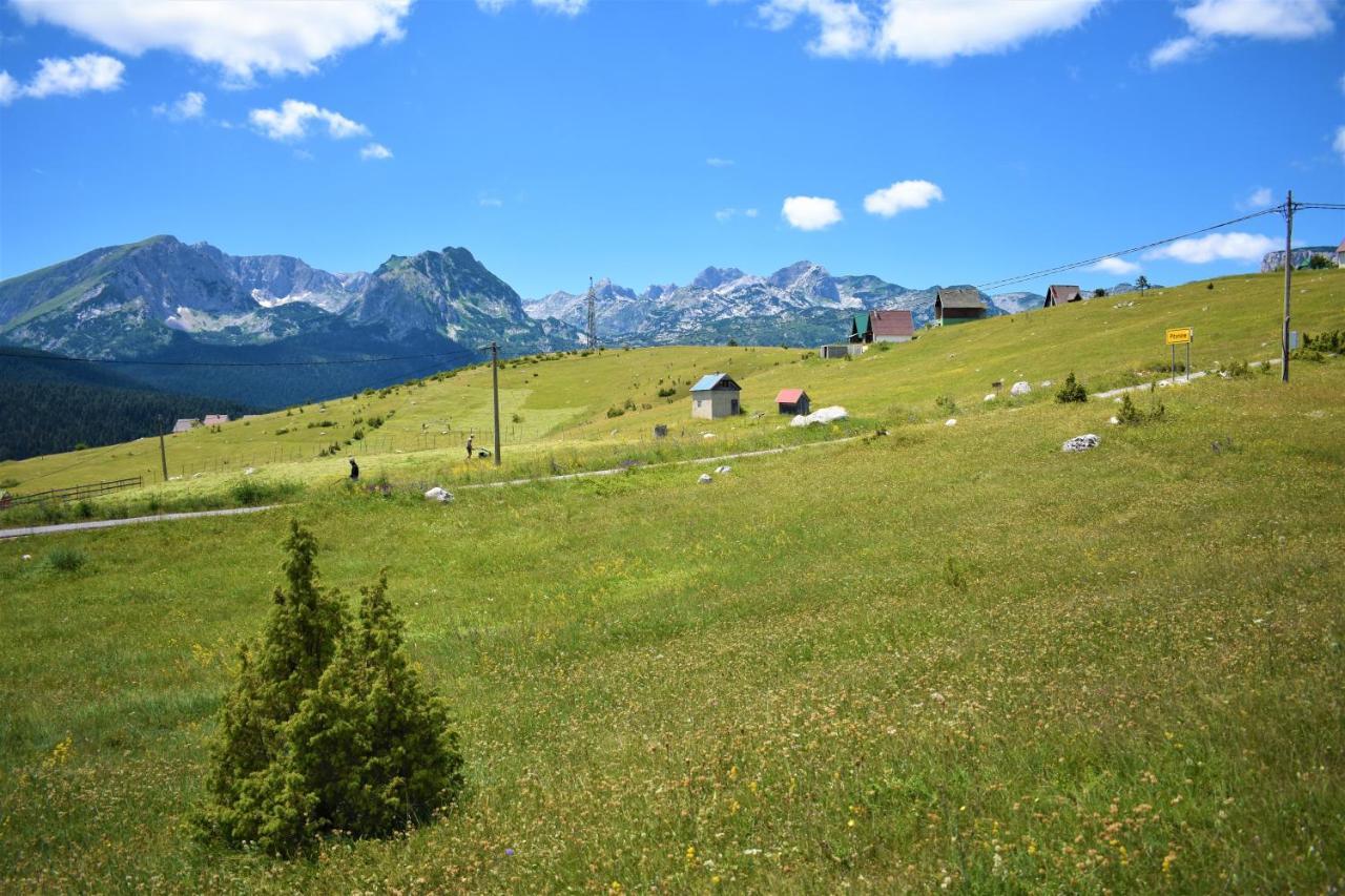 Villa Durmitor View Žabljak Esterno foto